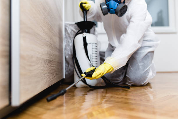 Best Pest Control Near Me in Shenandoah, VA