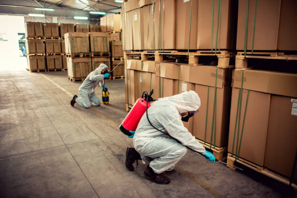 Best Emergency Pest Control  in Shenandoah, VA