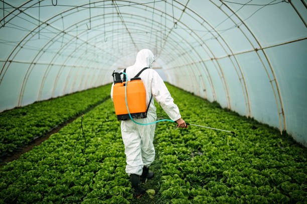 Pest Control for Restaurants in Shenandoah, VA