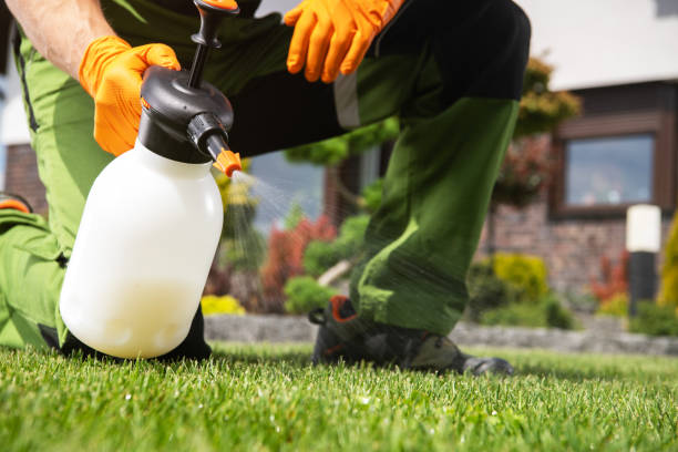 Best Pest Control for Restaurants  in Shenandoah, VA