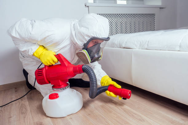 Best Pest Removal Services  in Shenandoah, VA