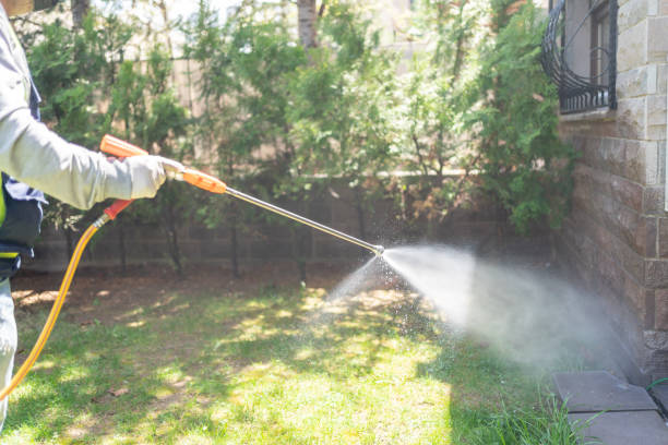 Best Ant Control Services  in Shenandoah, VA