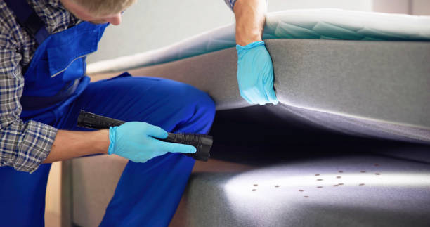 Best Residential Pest Control  in Shenandoah, VA