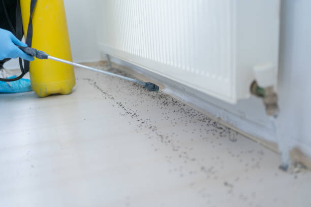 Shenandoah, VA Pest Control Company